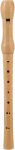 Recorder - childrens musical instrument