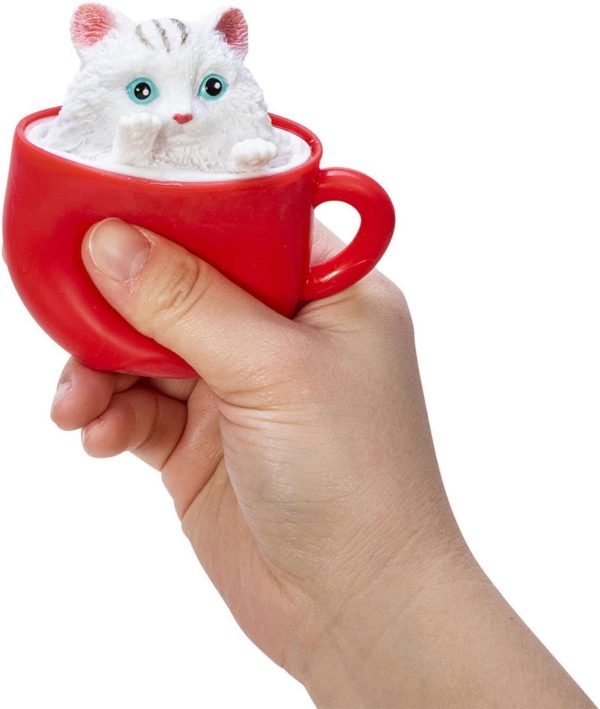 SCHYLLING POP A Chino Kitties